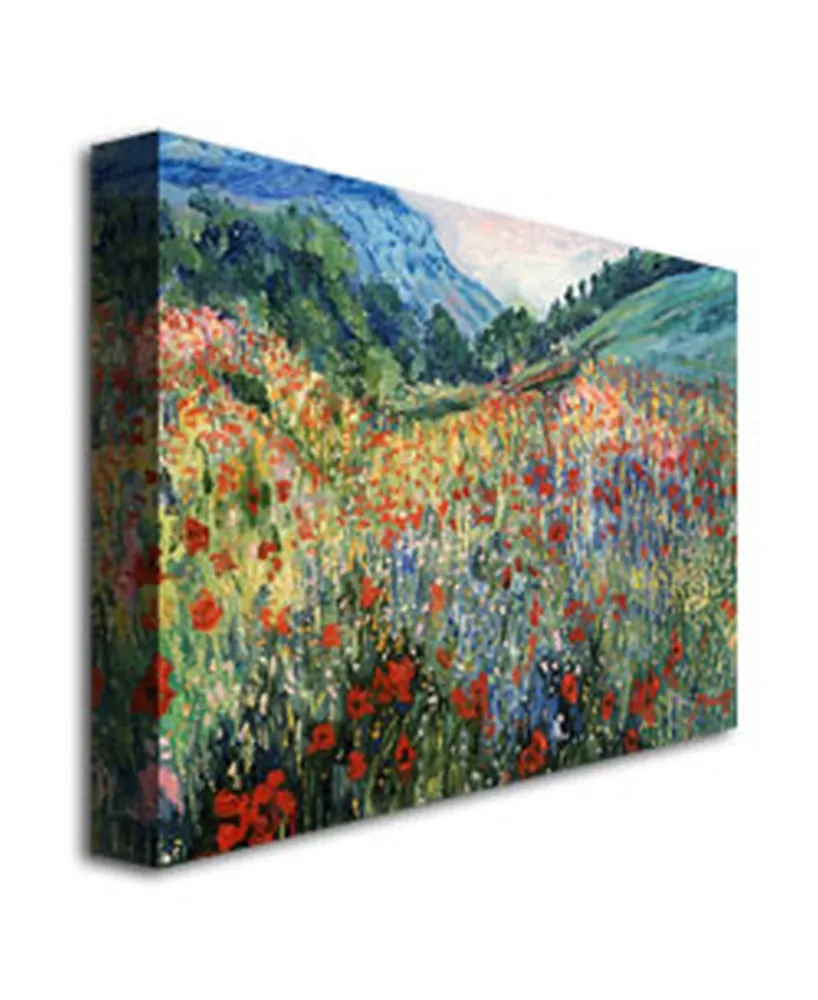 Field of Wild Flowers' Canvas Art