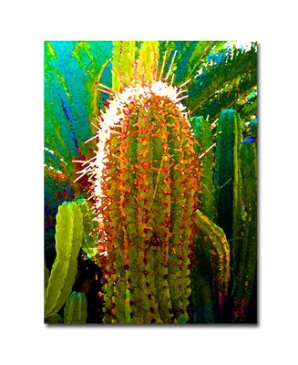 Amy Vangsgard 'Tall Cactus' Canvas Art - 24" x 18"