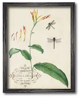 Courtside Market Canna Dragonflies I 16" x 20" Framed Canvas Wall Art