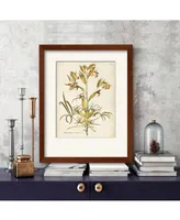 Courtside Market Elegant Botanical Ii 16" x 20" Framed Canvas Wall Art