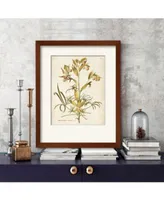 Courtside Market Elegant Botanical Ii Framed Canvas Wall Art Collection