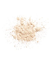 Shiseido Synchro Skin Invisible Silk Loose Powder