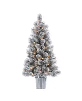 Sterling 4.5-Foot High Flocked Pre-lit Mixed Needle Boise Pine in Silver Bucket