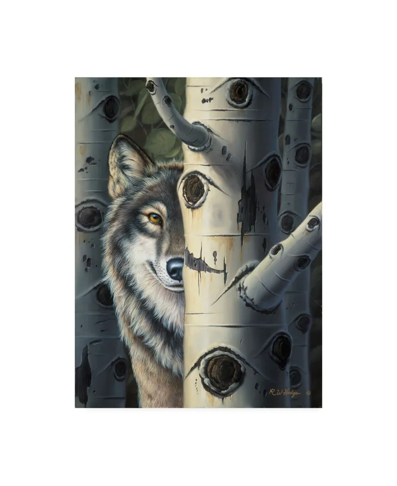 R W Hedge Disguise Canvas Art - 19.5" x 26"