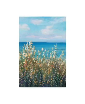 Tim OToole Flowers at the Coast Ii Canvas Art - 15.5" x 21"