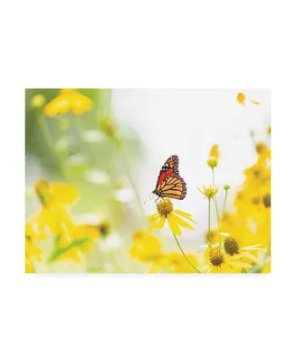 Kurt Shaffer Photographs Monarch on yellow Canvas Art - 15.5" x 21"