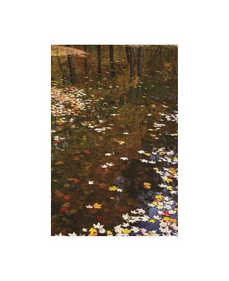 Kurt Shaffer Photographs November Reflections Canvas Art - 27" x 33.5"