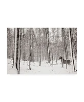 James Mcloughlin A Snowy Walk Ii Canvas Art - 20" x 25"