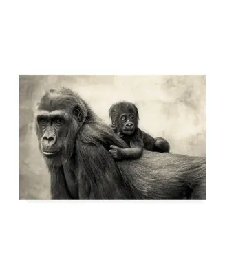 Antje Wenner Braun Life Gorillas Canvas Art