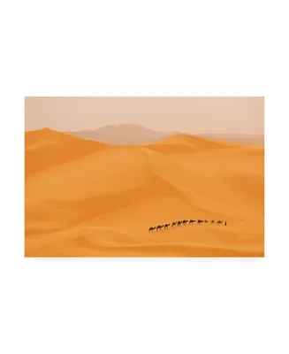 Dan Mirica Camels Caravan in Sahara Canvas Art