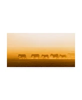 Hao Jiang Morning Walk Zebras Canvas Art - 20" x 25"