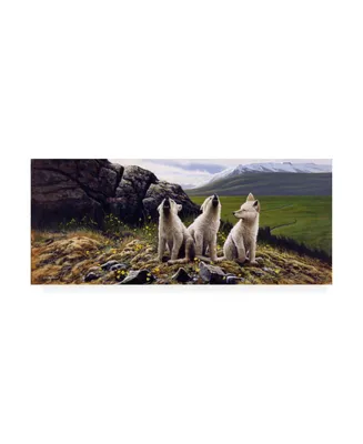 Michael Budden Three Wolves Canvas Art - 15" x 20"