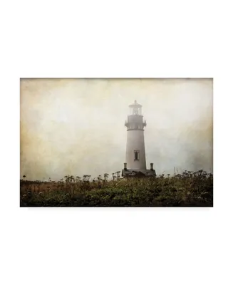 Debra Van Swearingen Lonely Lighthouse Ii Canvas Art