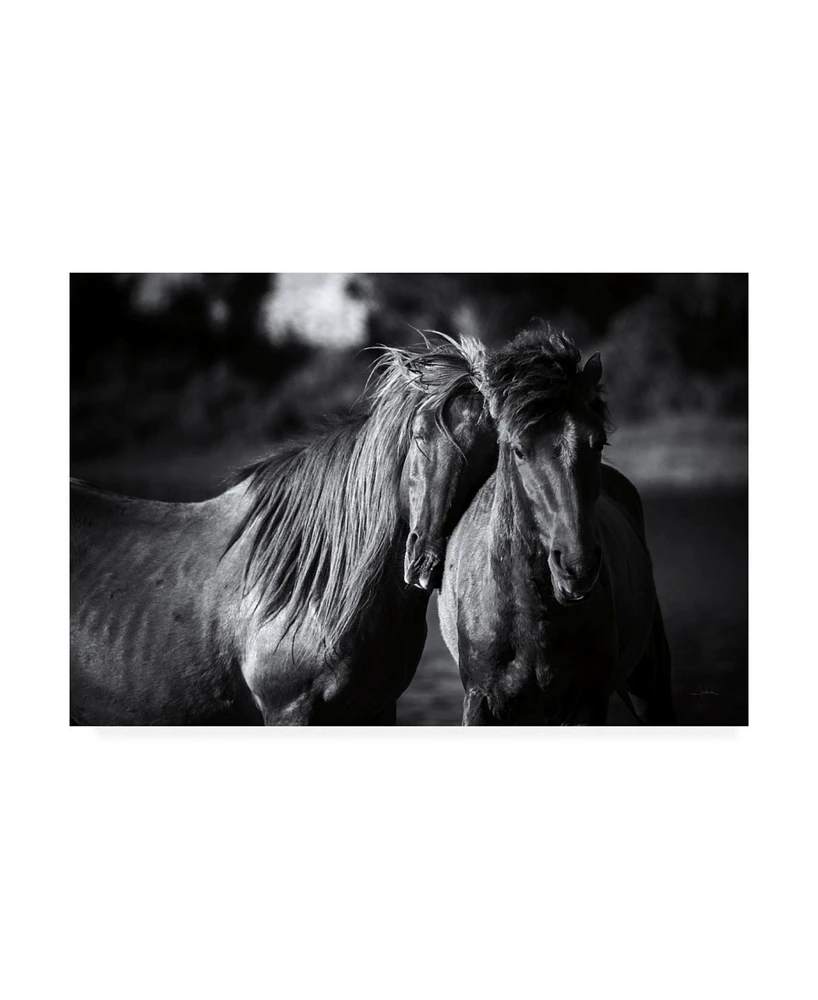 Aledanda Buddies Horse Canvas Art - 37" x 49"