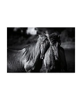 Aledanda Buddies Horse Canvas Art - 37" x 49"