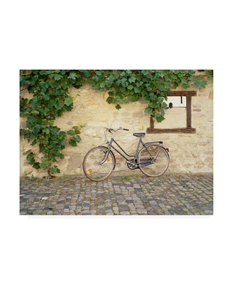 Monte Nagler Bicycle Turckheim France Color Canvas Art - 37" x 49"