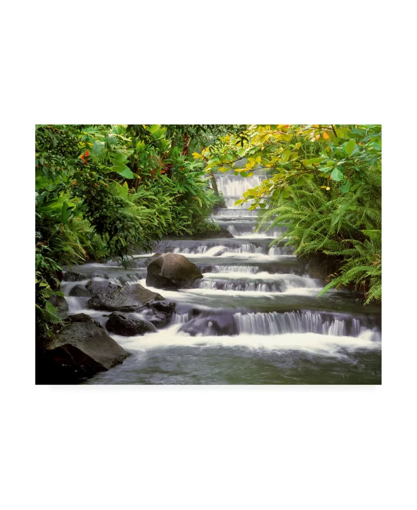 Monte Nagler Terraced Falls Canvas Art