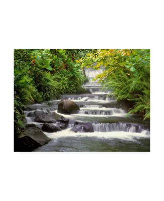 Monte Nagler Terraced Falls Canvas Art