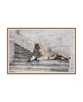 Monte Nagler Tiger on Steps Canvas Art - 20" x 25"