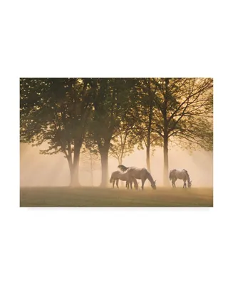 Monte Nagler Horses in the Mist Canvas Art