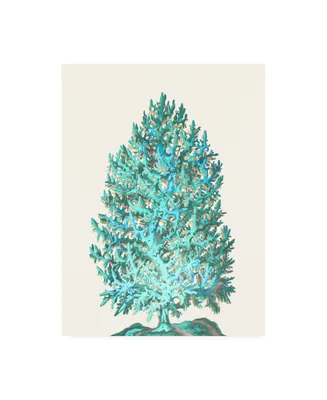 Fab Funky Coral Tree Turquoise on Cream Canvas Art