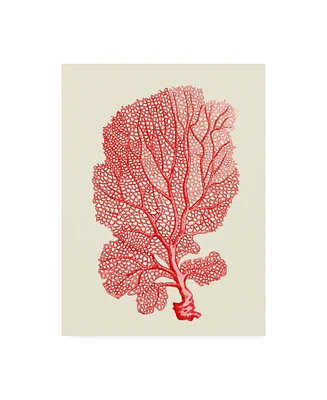 Fab Funky Red Corals 1 B Canvas Art - 19.5" x 26"