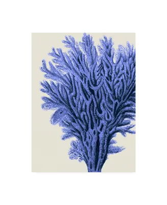 Fab Funky Blue Corals 2 a Canvas Art - 36.5" x 48"