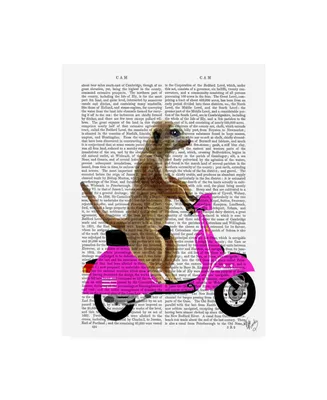 Fab Funky Meerkat on Moped Canvas Art