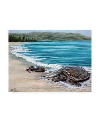 Patrick Sullivan 2 Turtles Canvas Art