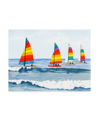 Patrick Sullivan Sail Colors Canvas Art