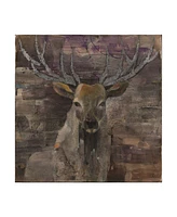 Albena Hristova The Leader Deer Canvas Art - 19.5" x 26"