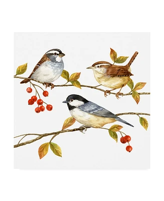 Jane Maday Birds and Berries I Canvas Art