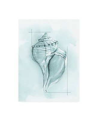 Megan Meagher Coastal Shell Schematic I Canvas Art - 19.5" x 26"
