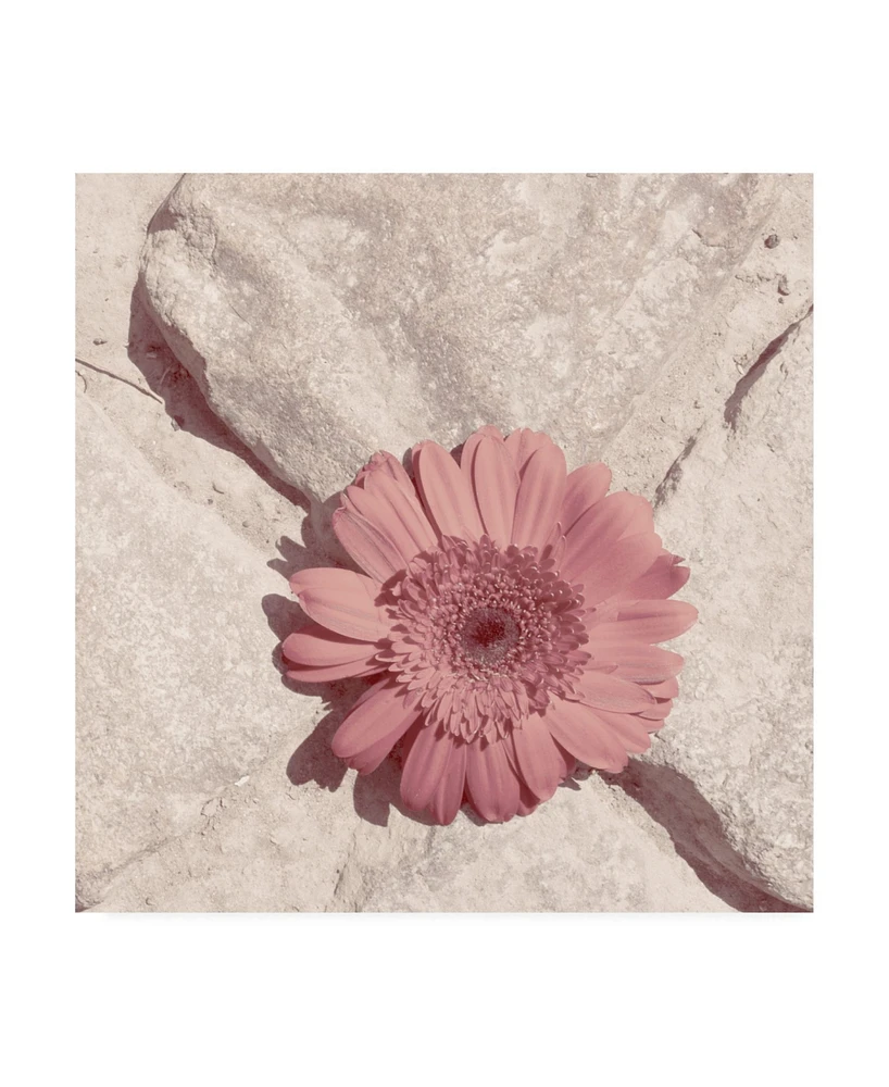 Jason Johnson Floral Canvas Art