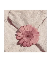 Jason Johnson Floral Canvas Art