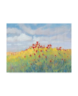 Tim OToole Summer Breeze Meadow Ii Canvas Art - 19.5" x 26"