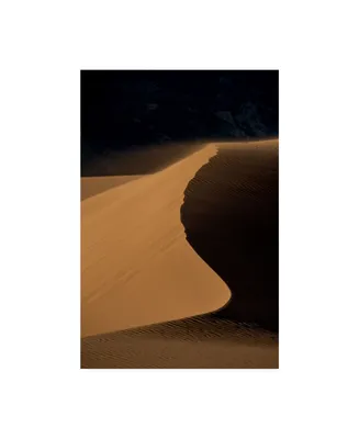 Dan Ballard Sand Dunes 4 Canvas Art - 27" x 33.5"