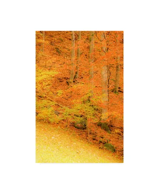 Dan Ballard Yellow Foliage Autumn Canvas Art