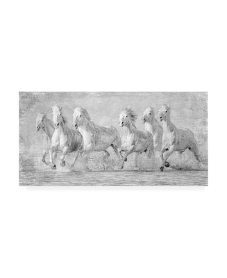 Ph Burchett Water Horses V Canvas Art - 27" x 33.5"