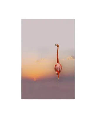 Anna Cseresnjes Sunset Flamingo Canvas Art - 15" x 20"