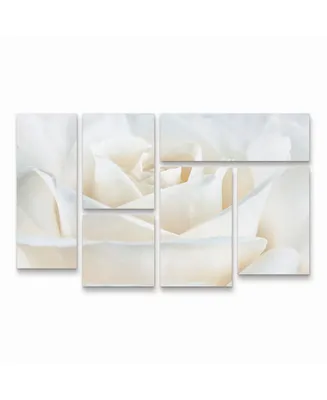Cora Niele Pure White Rose Multi Panel Art Set 6 Piece - 49" x 19"