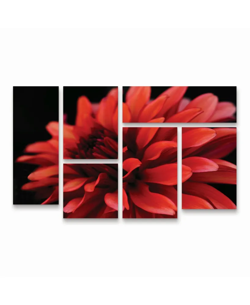 Kurt Shaffer Red Dahlia Multi Panel Art Set 6 Piece - 49" x 19"