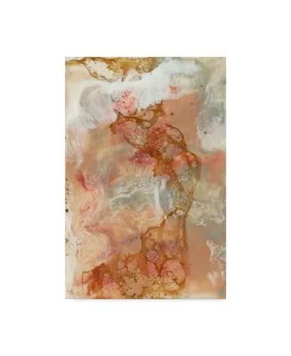 Jennifer Goldberger Coral Lace I Canvas Art