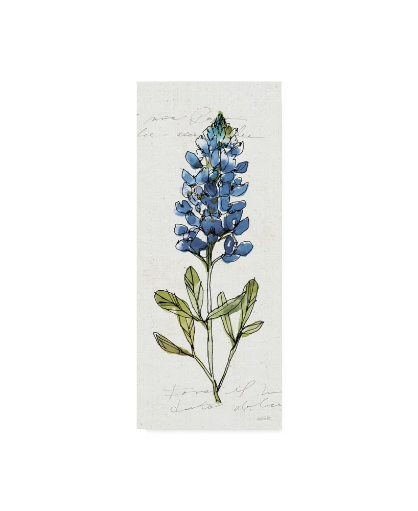 Anne Tavoletti Texas Bluebonnet Iv Canvas Art