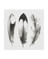 Grace Popp Watercolor Feathers Ii Canvas Art - 15" x 20"