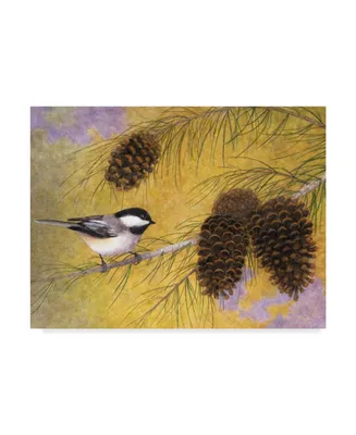 Marcia Matcham Chickadee in the Pines I Canvas Art - 15" x 20"