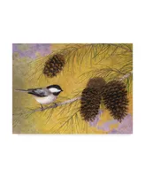 Marcia Matcham Chickadee in the Pines I Canvas Art - 15" x 20"