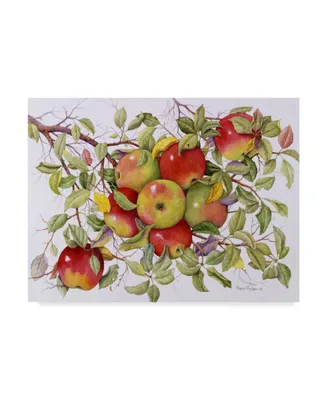 Marcia Matcham Apples on a Branch Canvas Art
