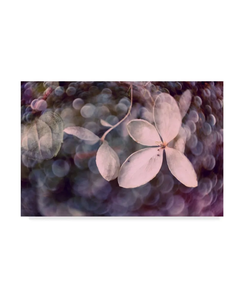 Judy Stalus Purple Hydrangea Canvas Art - 15" x 20"