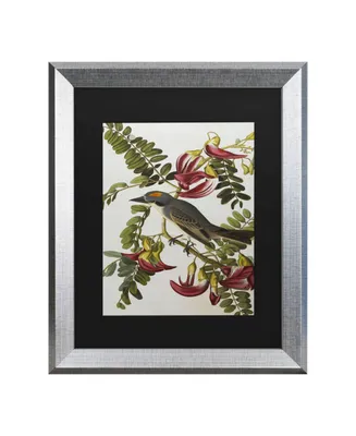 John James Audubon Gray Tyrant Gray Kingbird Matted Framed Art